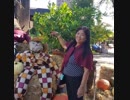 Remedios Diaz 6