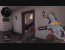 【COD BO4】装備頼りの対人戦65【TDM】