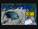 #2【海釣り】元旦からグレ(メジナ)釣り【磯フカセ】～前編～