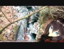 【実況車載動画】だいにせかいのスカイライン 019【バーチャルキャスト】