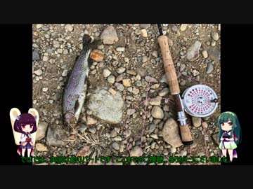 【改訂版】初心者向け　管理釣り場フライフィッシング講座【仕掛け準備編】