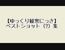 【ゆっくりにっき総集編 前半】いつもヒマなゆっくりたちの日常