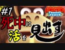 【縛り実況】死中に活を見出すドンキーコングトロピカルフリーズ協力プレイ#1