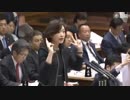 薬師寺みちよ　のシュールすぎる国会質疑
