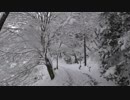低山を歩こう 比叡山 20181230 part1