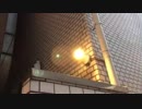 浅利晃_チカチカライト