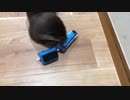 トーマスとか知らんし。