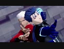 【Fate/MMD】ヒバナ【モデルテスト】