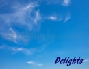 【NNI】Delights
