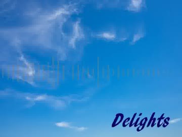 【NNI】Delights