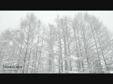 Snowscape / 初音ミク