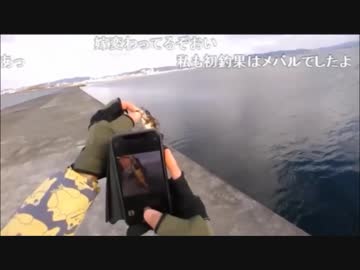 1.04 【魚釣り】のんびり海釣りを楽しみます