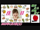 2-A 桜井誠、オレンジラジオ新春 言いたい放題祭り ～菜々子の独り言　2019年1月5日(土）