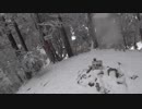 低山を歩こう 比叡山 20181230 part2