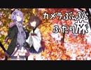 カメラぶらぶらふたり旅～秋の京都、あと肉フェス【結月ゆかり】