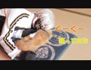 【刀剣乱舞】鳴狐でぐーぐー【コスプレで踊ってみた】