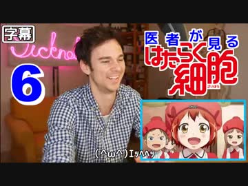 【日本語字幕】医者が見る はたらく細胞 6話 (ウイルス感染それともガン化？) 外国人の反応
