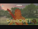 【ゼルダの伝説BotW】ポンコツ勇者の珍道中Pert5