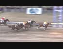 2019年1月1日川崎競馬11R 迎春（げいしゅん）盃(B2-二・B3-一) ブルーフォレスト