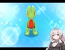 【ポケモン超不思議のダンジョン】あかりとポケモンになって旅をする【prat2】