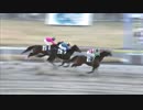 2019年1月2日川崎競馬9R 千客万来（せんきゃくばんらい）特別(B2・B3) ロードグレイス