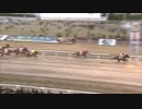 2019年1月2日川崎競馬11R 時計修理のクイック　新春記念(B1-二・B2-一) ゼンノウラヌス