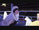 【3周年】Tell Your World 踊ってみた【みさきち】