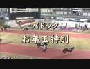 2019年1月2日川崎競馬11R 時計修理のクイック　新春記念(B1-二・B2-一) 表彰式