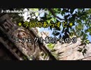 【刀剣乱舞】鶴と烏とエフェクト紹介３【偽実況】