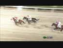 2019年1月5日佐賀競馬9R 宝満山賞(A1・A2) フォークローバー