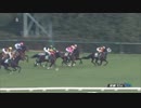 2019年　第57回 京都金杯（GⅢ）【パクスアメリカーナ】