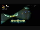 NewスーパーマリオブラザーズWii　世間知らず実況part24