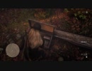 Red Dead Redemption 2 レッドデッドリデンプション２ オンライン レベル50でもらえる宝の地図