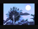 【オリジナル曲】LAST SUMMER SONG【男性ボーカル】