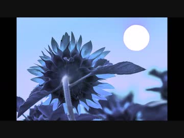 【オリジナル曲】LAST SUMMER SONG【男性ボーカル】