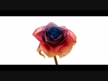 人気の もゆ 動画 64本 ニコニコ動画