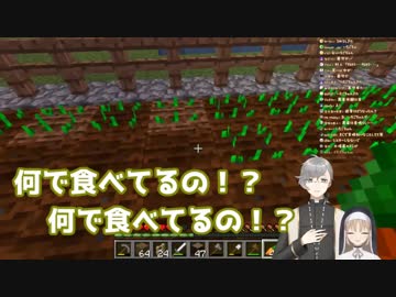 植えるはずの人参をモグモグするクレアさん