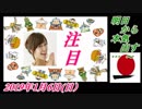 3-A 桜井誠、オレンジラジオ明日から本気出す… ～菜々子の独り言　2019年1月6日(日）