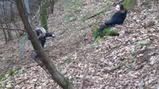 Cortachy Tarzan Swing