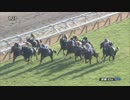 2019年　第53回 シンザン記念（GⅢ）【ヴァルディゼール】