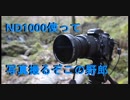 伝説の写真旅　【元滝伏流水】　nikon D750