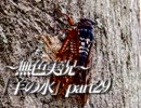《無色実況》※R-18G※鯉を信仰する町で｢羊の水」part29