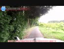 [愛知険道499号]ゆっくりジムニー険道めぐり！その60