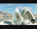 【実況】Wildな男を目指して-ゼルダの伝説 ブレス オブ ザ ワイルド-part09