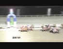 2019年1月6日高知競馬10R 小寒特別(C2-1組) メラニオーン
