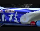 【食べる動画】白樺の小枝アイスバー《森永アイス》【咀嚼音】