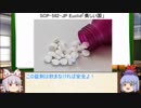 もこけねのSCPで暇つぶし-18