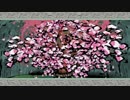 感情のままに大神を実況プレイ Part37
