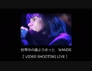 世界中の誰よりきっと  ~Acoustic Version~　WANDS【 LIVE-VIDEO SHOOTING 】
