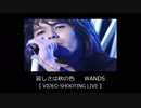 寂しさは秋の色　WANDS【 LIVE-VIDEO SHOOTING 】